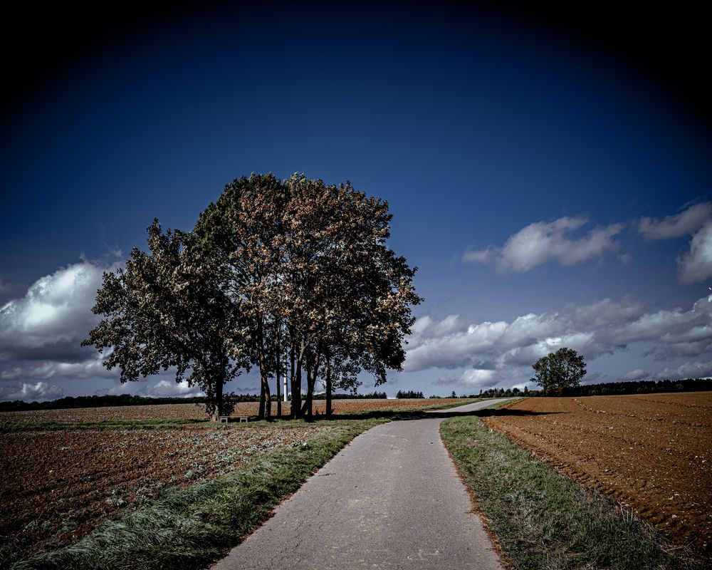 Herbstweg