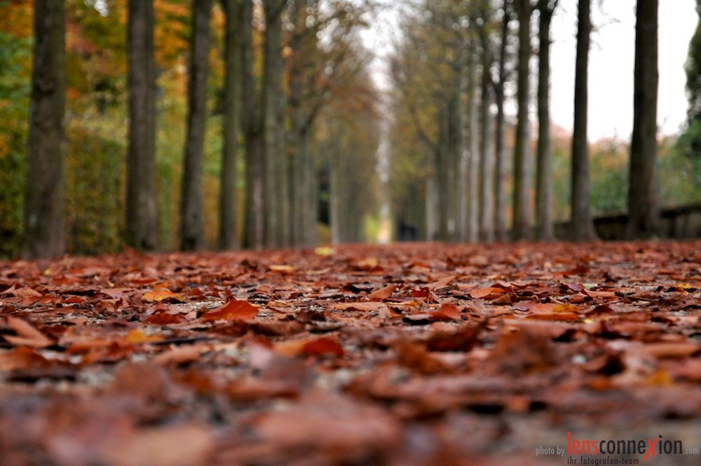 Herbstweg