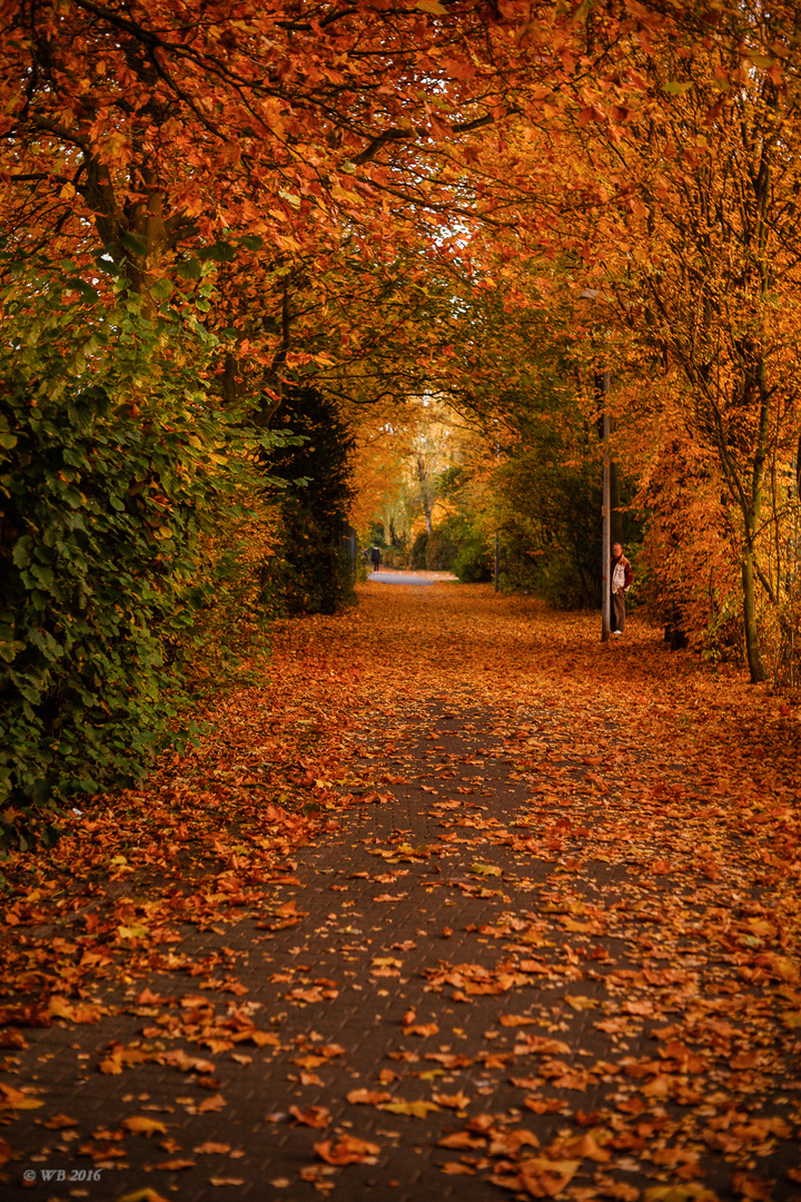 - Herbstweg -