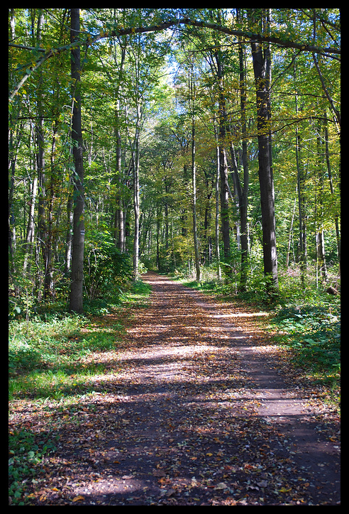 Herbstweg