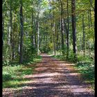 Herbstweg