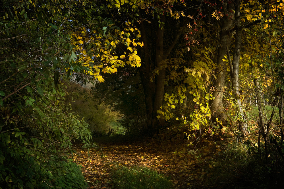 Herbstweg