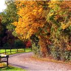 Herbstweg am Ammersee