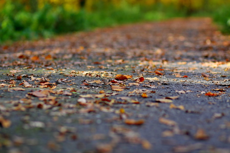 Herbstweg