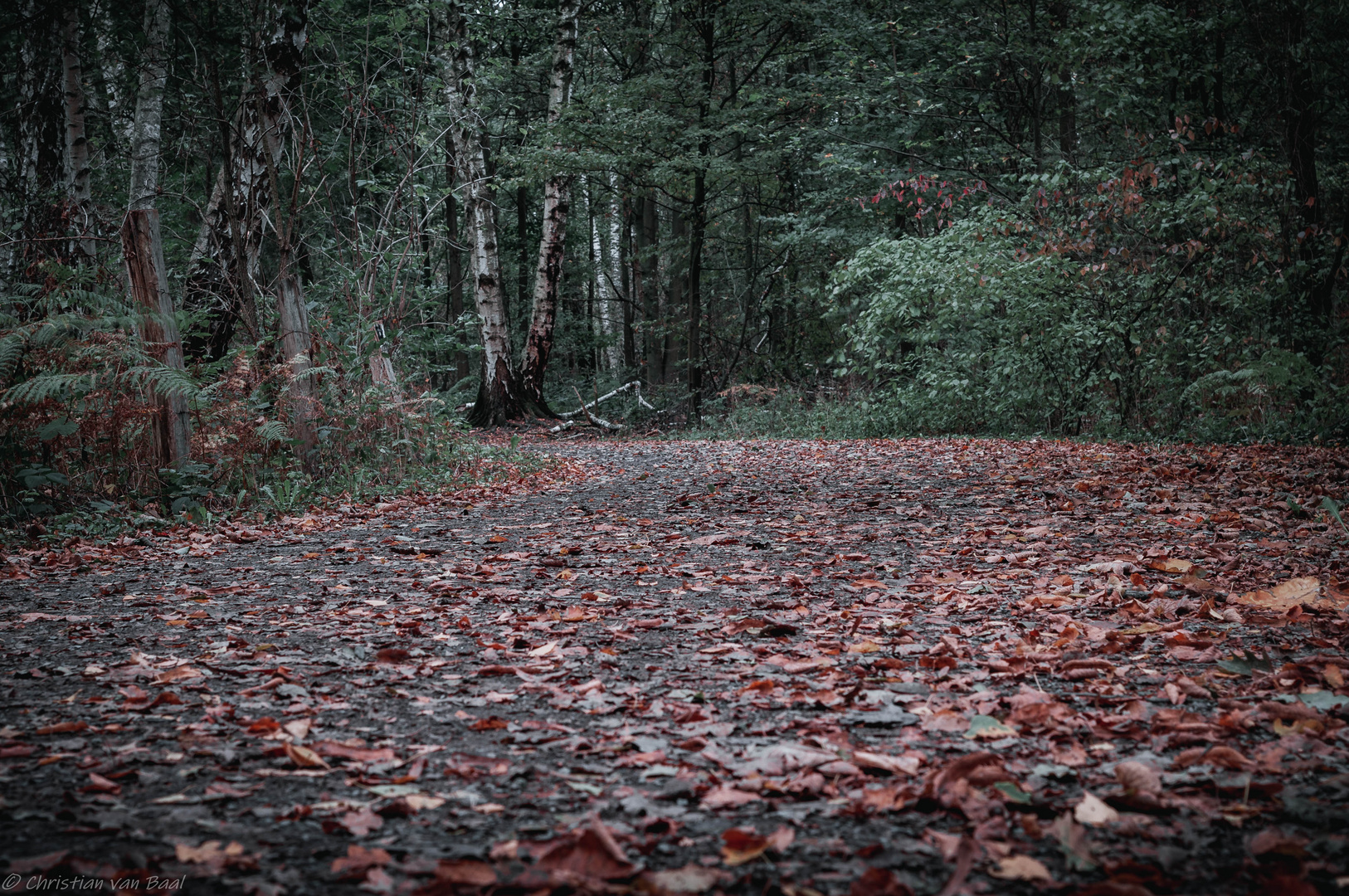 Herbstweg