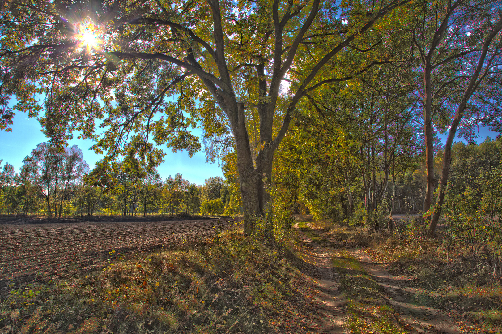 Herbstweg