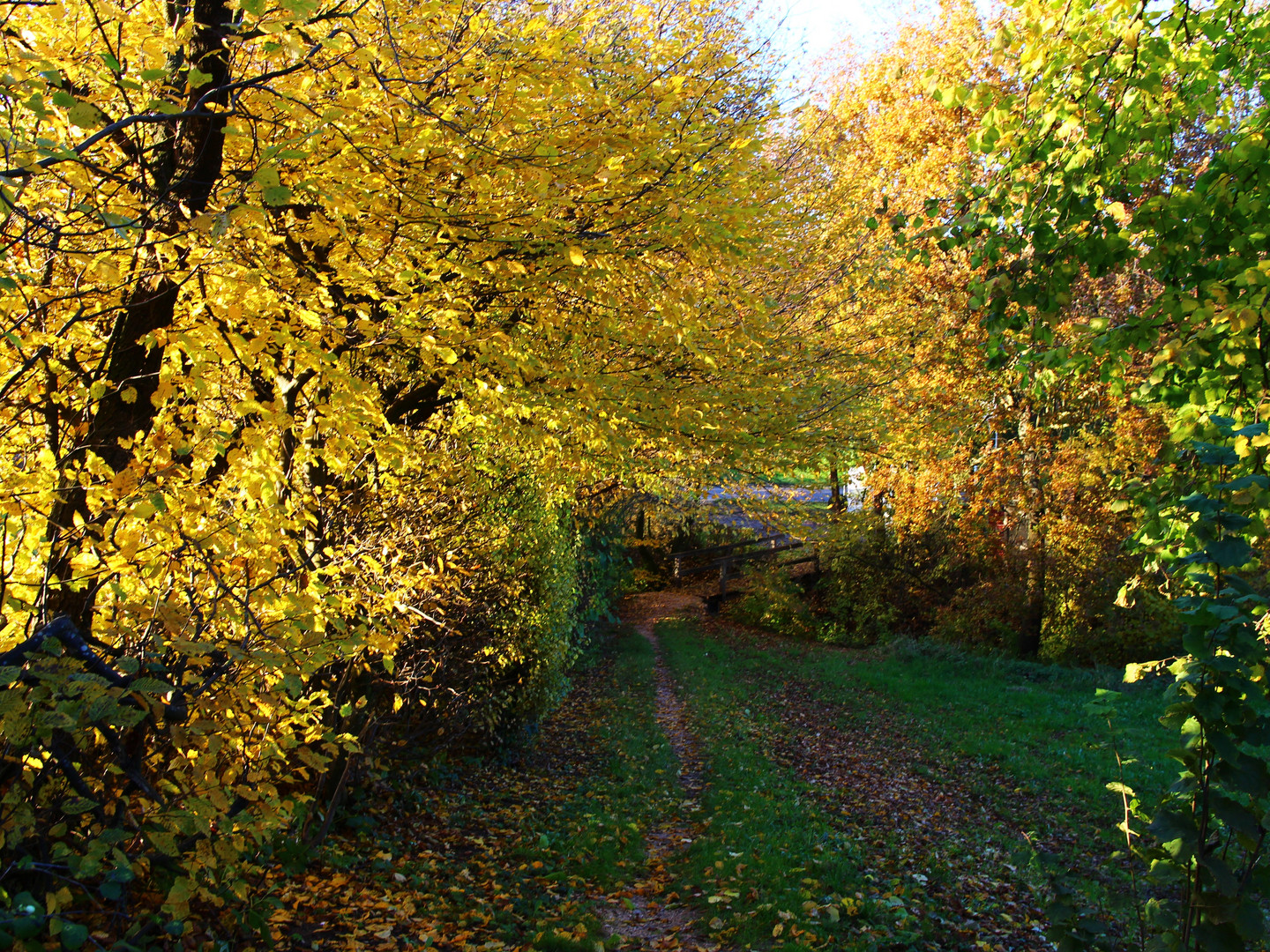 Herbstweg