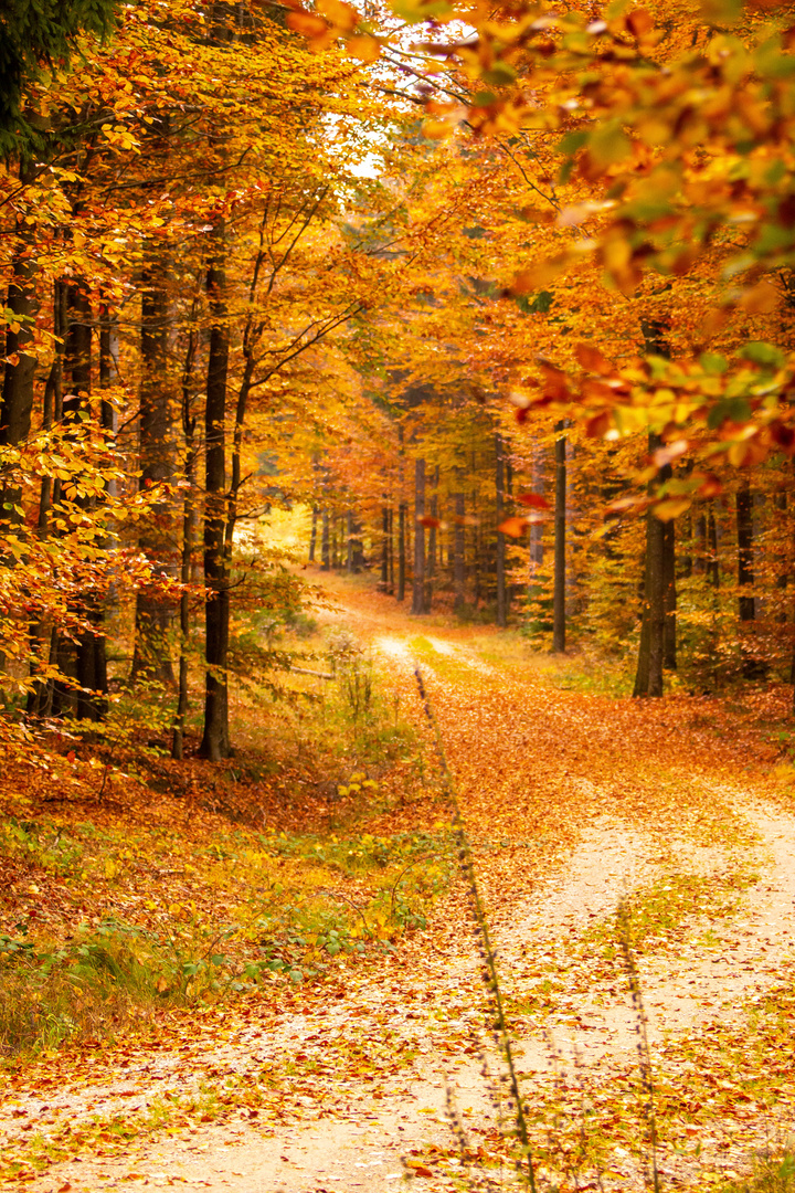 Herbstweg