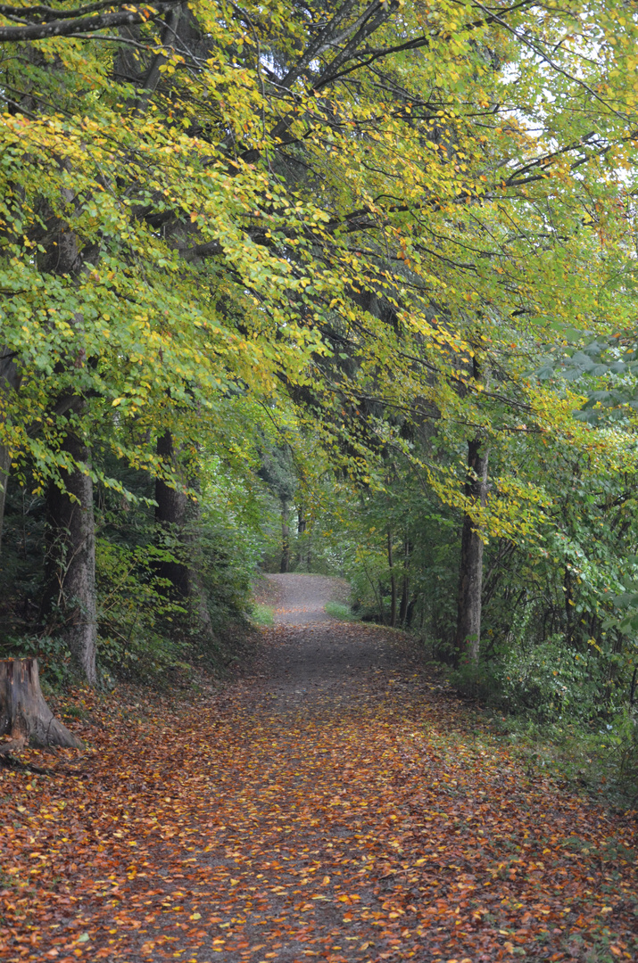 Herbstweg