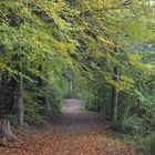 Herbstweg