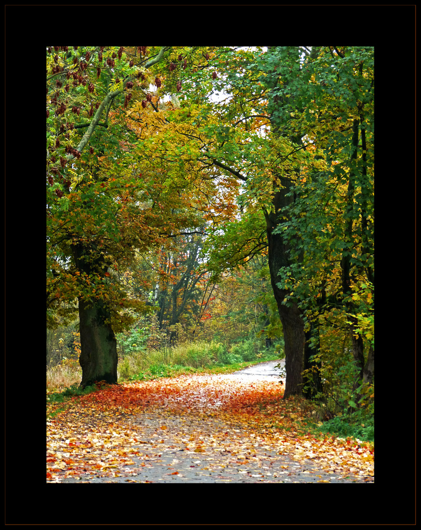 Herbstweg