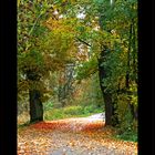 Herbstweg