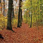 Herbstweg