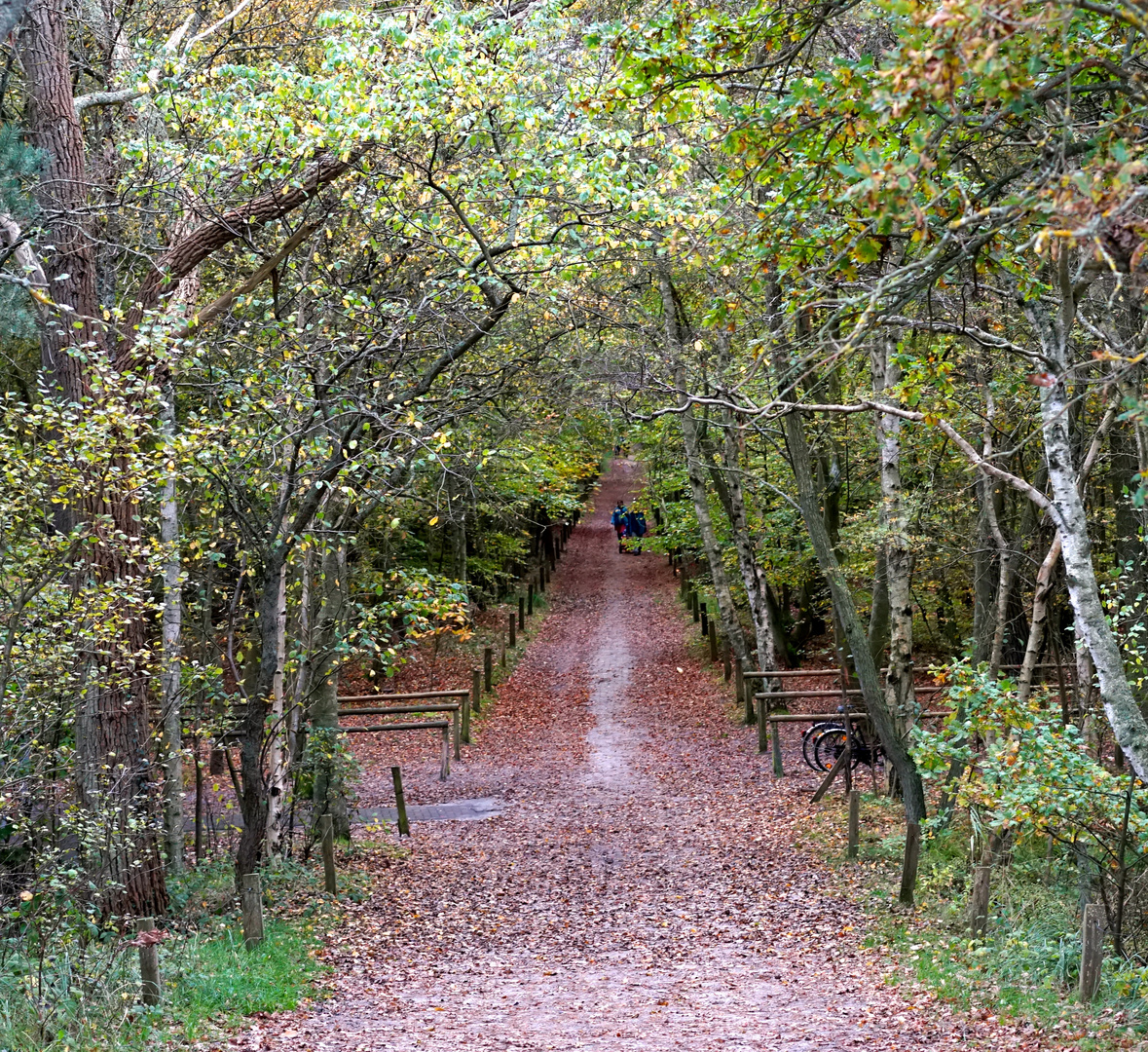 Herbstweg