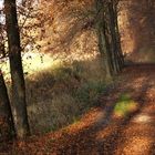 Herbstweg