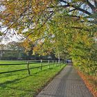 Herbstweg