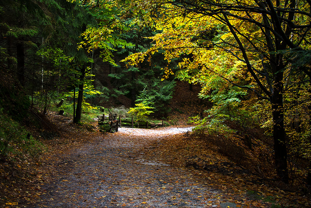 Herbstweg...