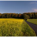 Herbstweg