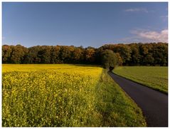 Herbstweg