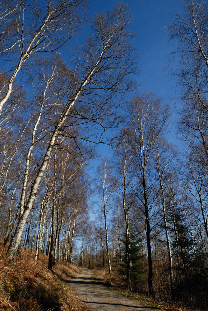 Herbstweg