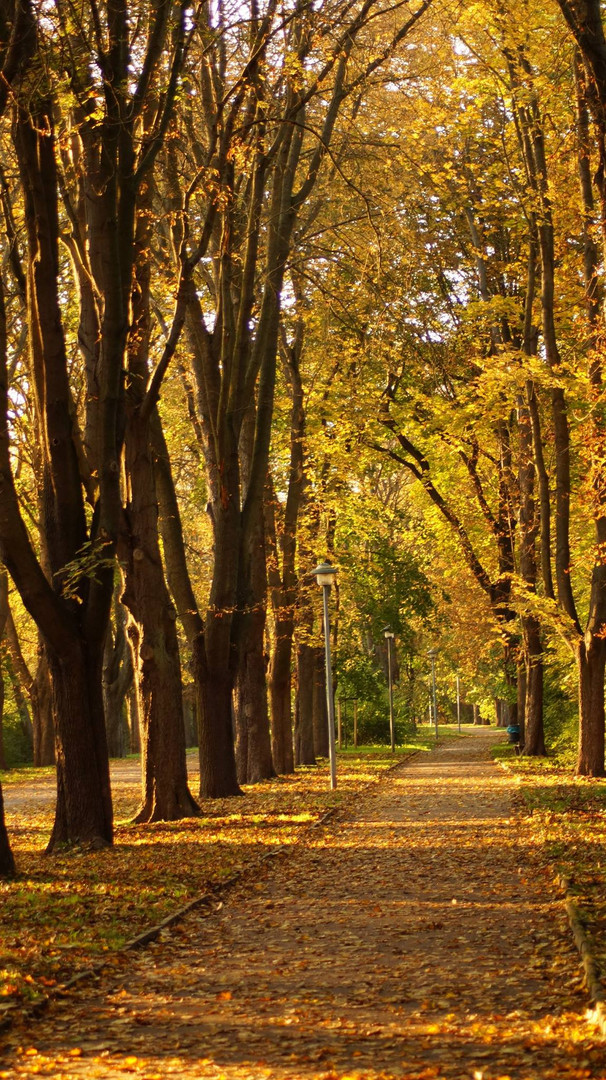 Herbstweg