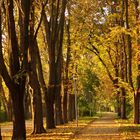 Herbstweg