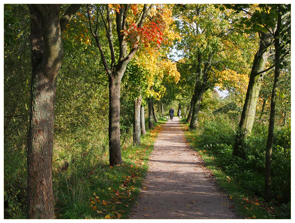 Herbstweg