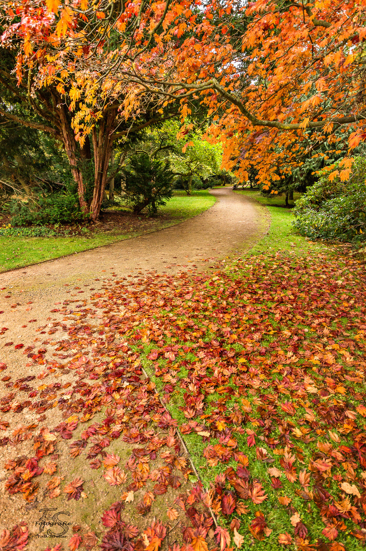 Herbstweg