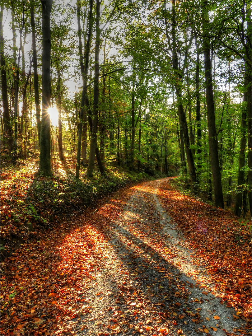 Herbstweg