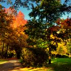 ...Herbstweg...