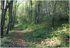 Herbstweg...