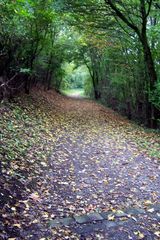 Herbstweg