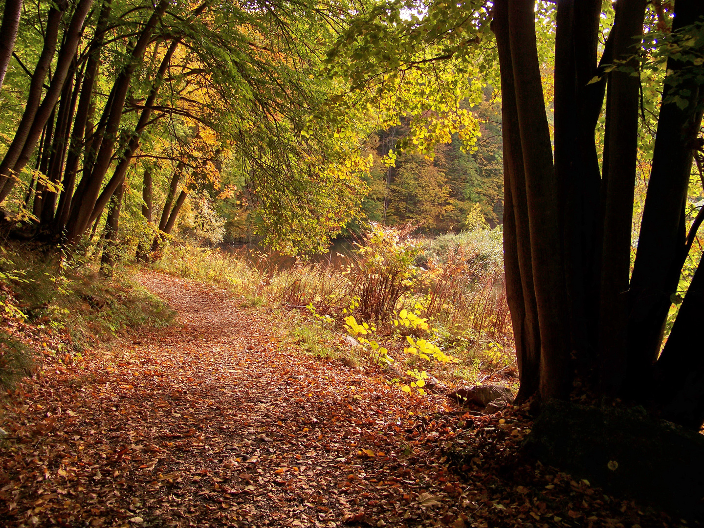 Herbstweg