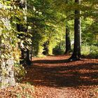 Herbstweg