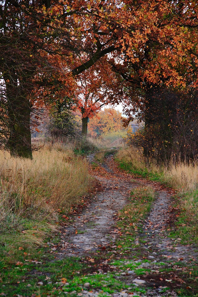 Herbstweg