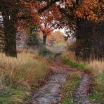 Herbstweg