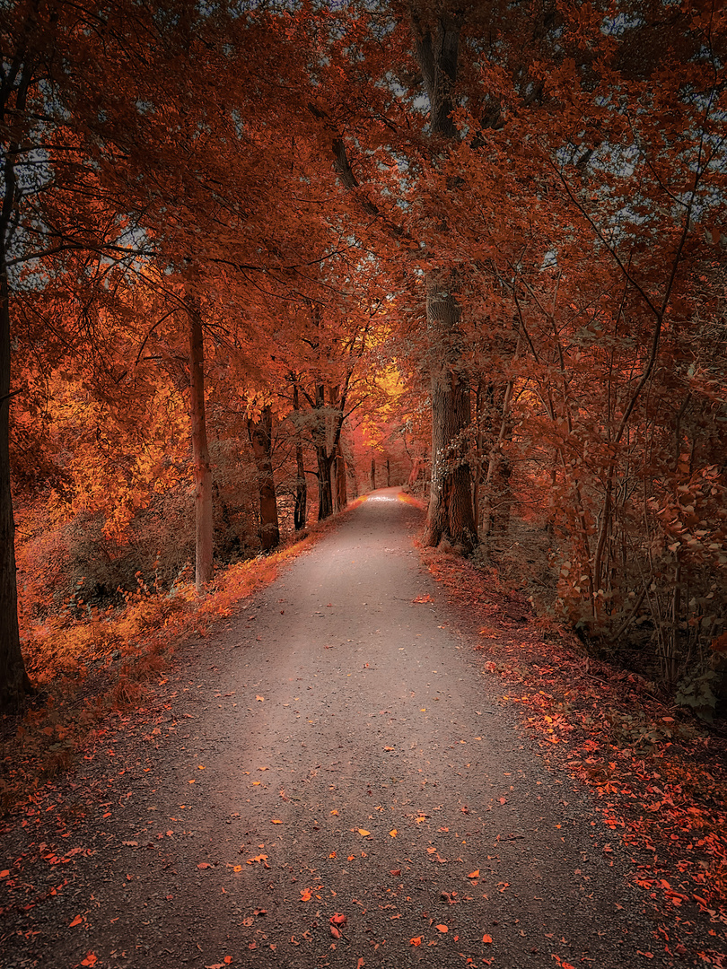 Herbstweg