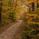 Herbstweg II