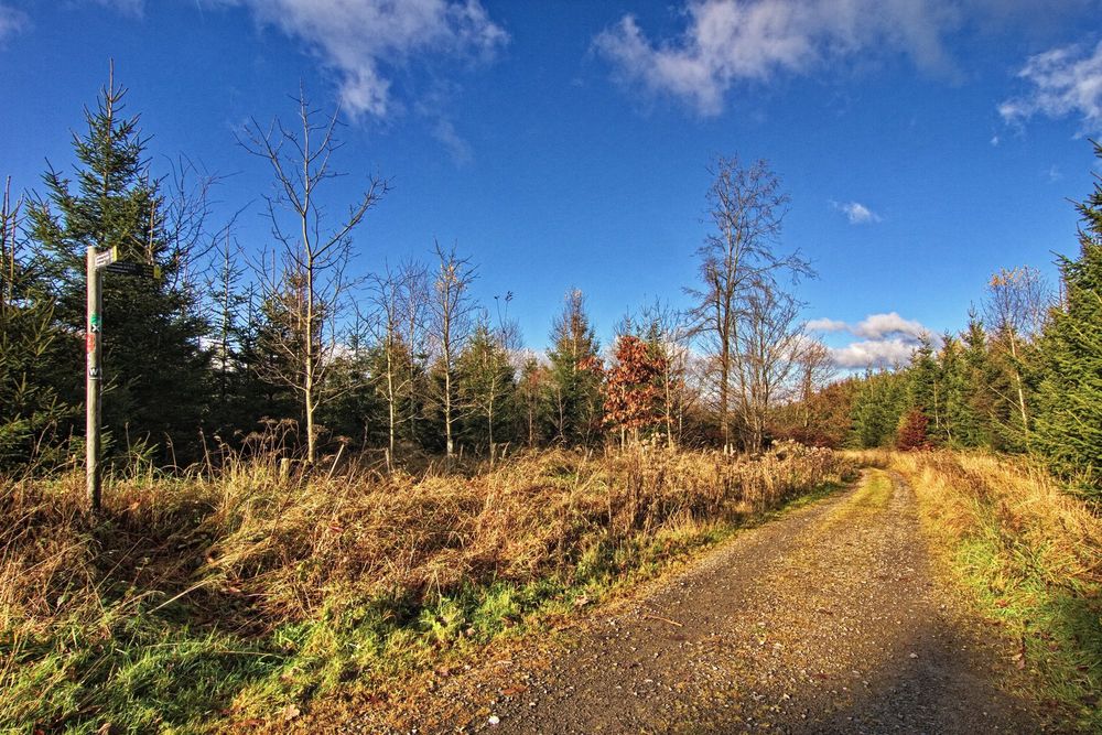 Herbstweg II