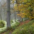 Herbstweg im Briesetal