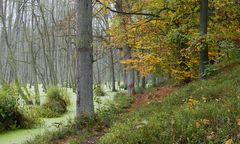 Herbstweg im Briesetal