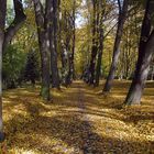 Herbstweg mit Beleuchtung