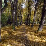 Herbstweg mit Beleuchtung