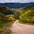 Herbstweg nach Dernau