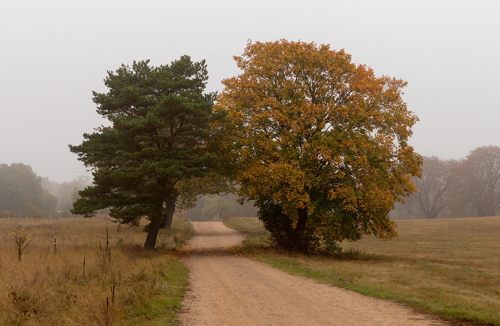 Herbstweg nach Federow