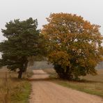 Herbstweg nach Federow