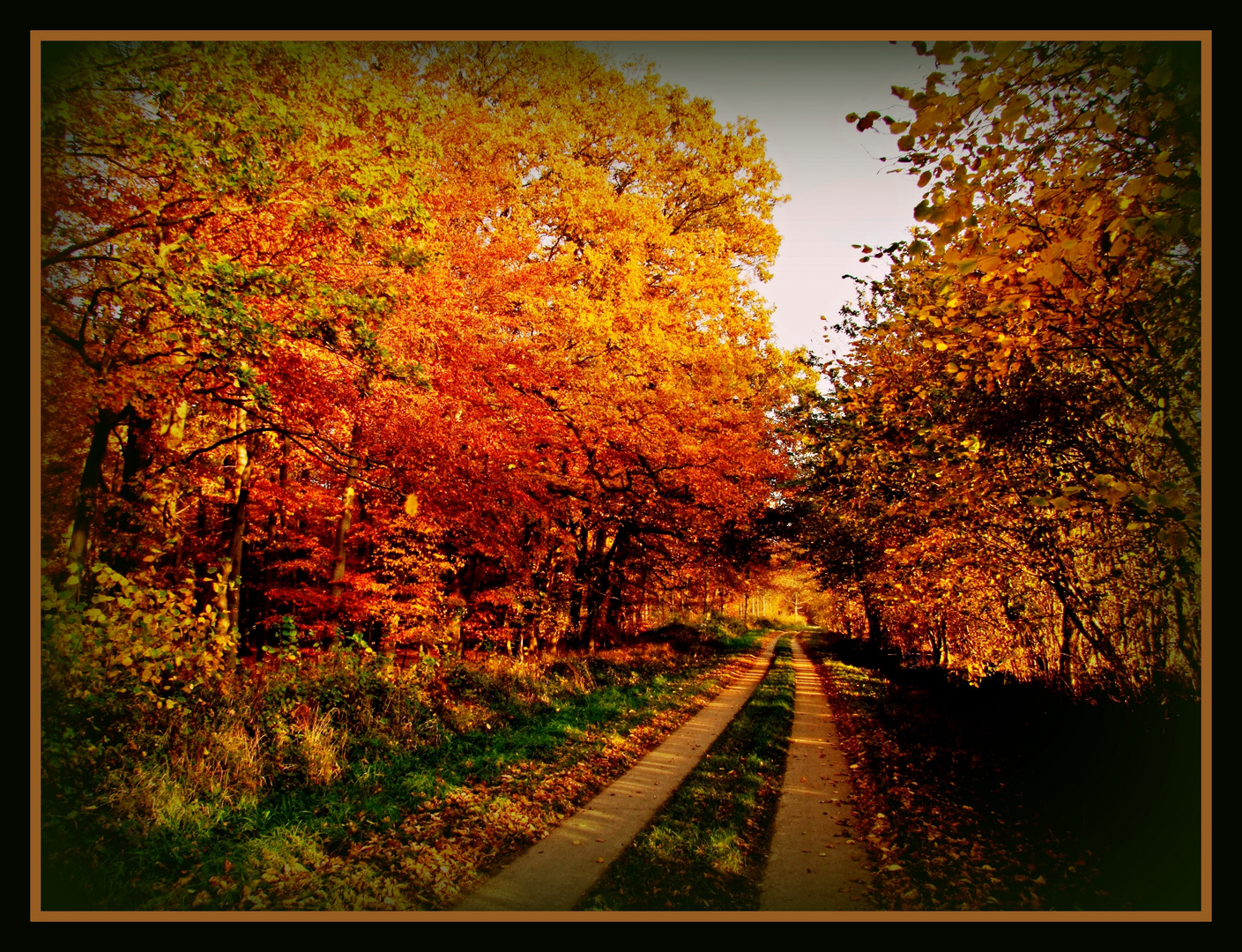 Herbstweg zum Träumen (Way of autumn)