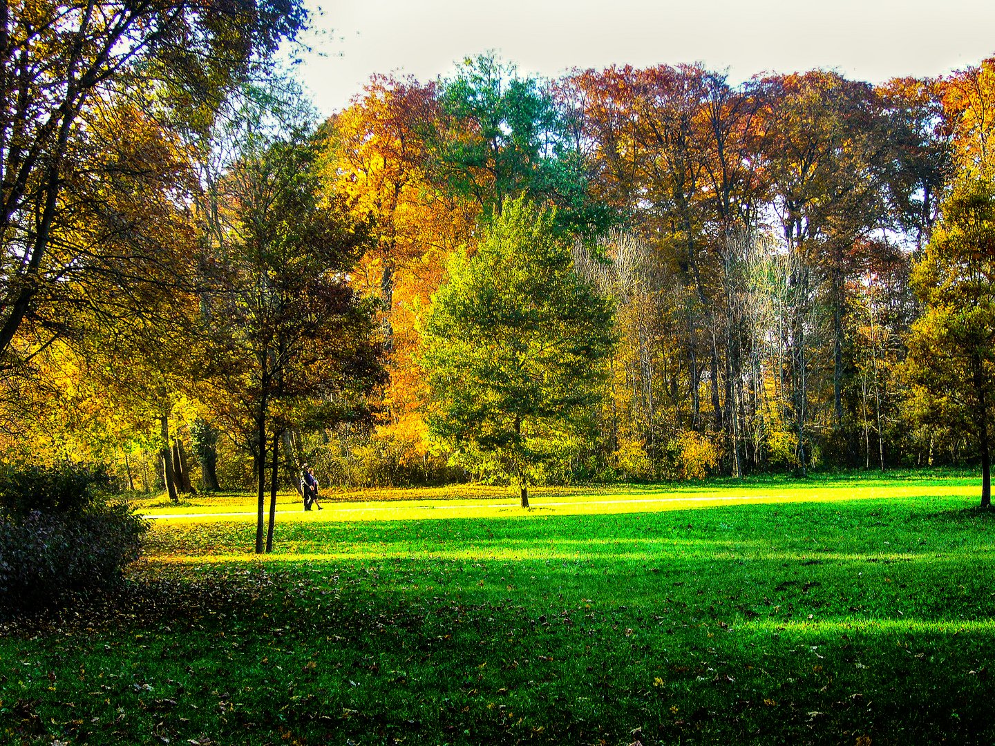 Herbstweg4