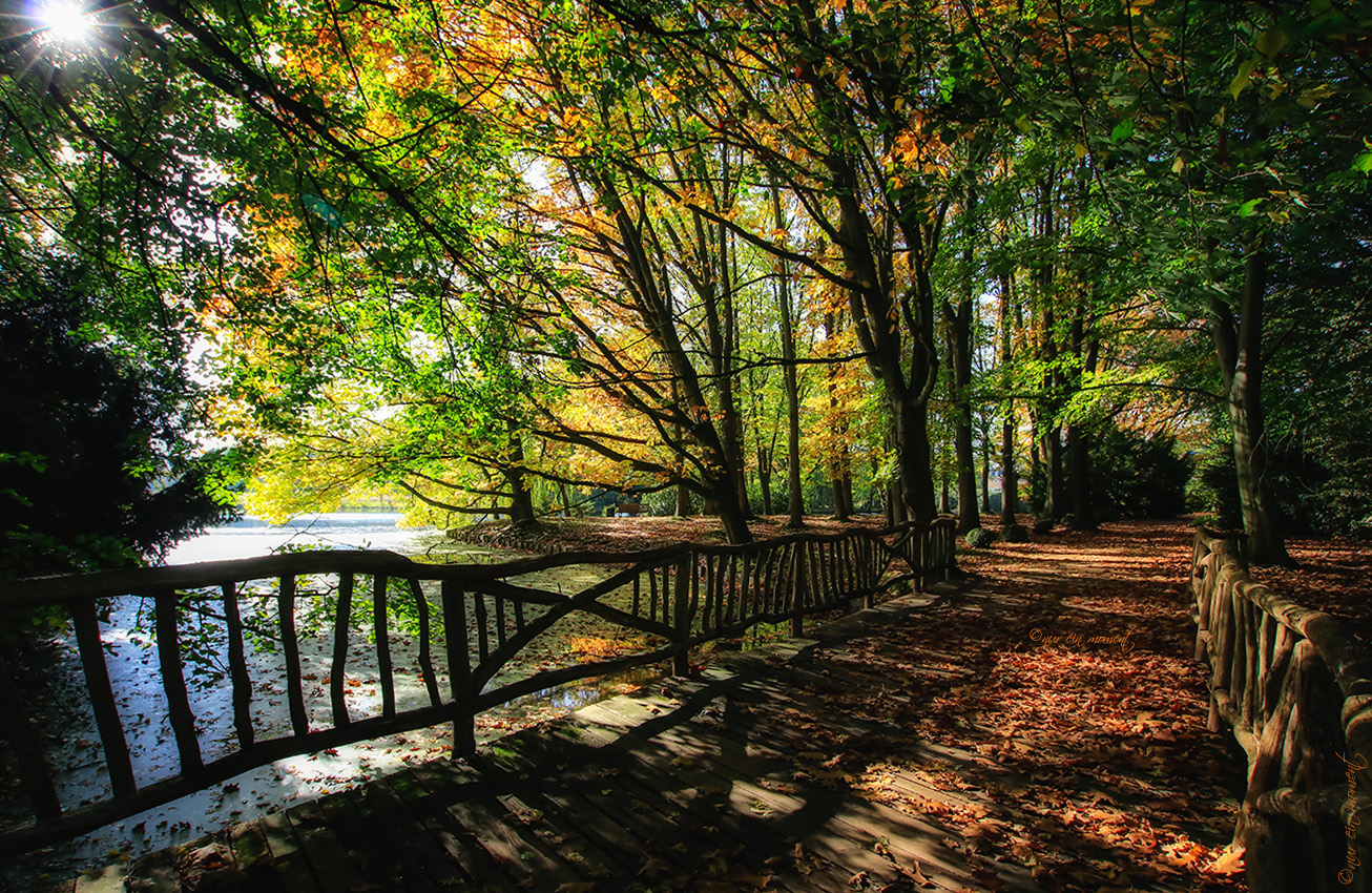 Herbstwege