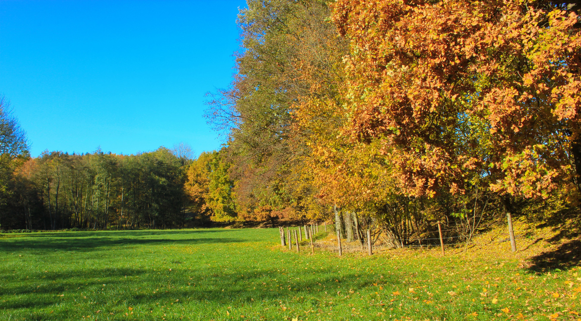 Herbstwege (1)